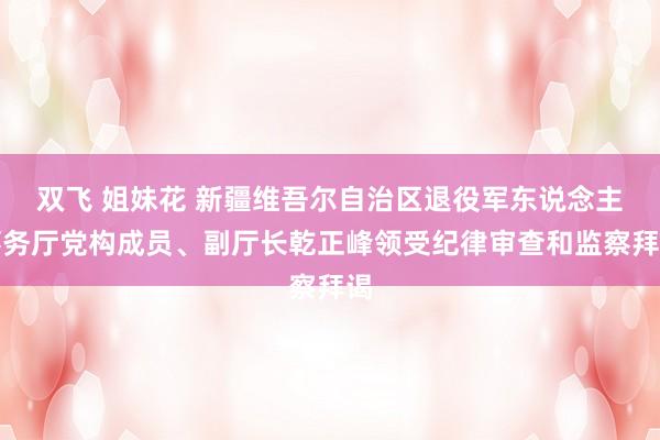 双飞 姐妹花 新疆维吾尔自治区退役军东说念主事务厅党构成员、副厅长乾正峰领受纪律审查和监察拜谒