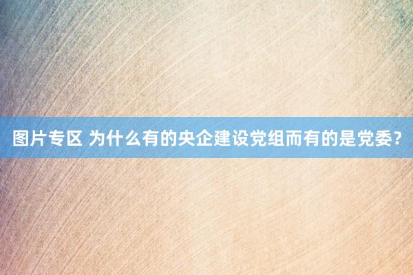 图片专区 为什么有的央企建设党组而有的是党委？