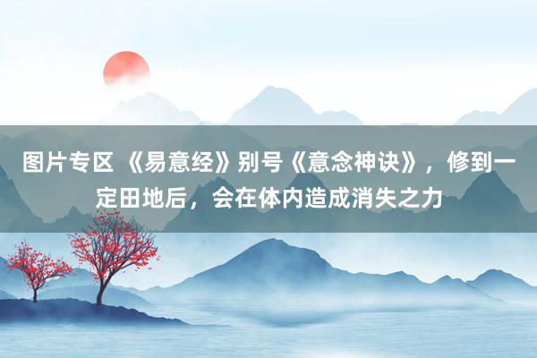 图片专区 《易意经》别号《意念神诀》,修到一定田地后,会在体内造成消失之力