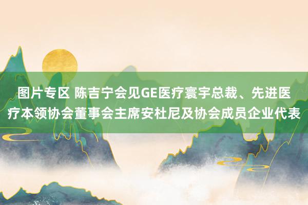 图片专区 陈吉宁会见GE医疗寰宇总裁、先进医疗本领协会董事会主席安杜尼及协会成员企业代表