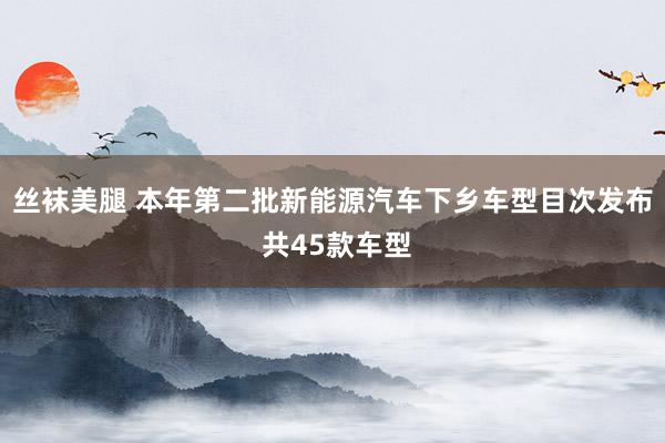 丝袜美腿 本年第二批新能源汽车下乡车型目次发布 共45款车型