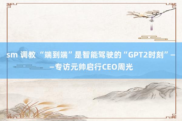 sm 调教 “端到端”是智能驾驶的“GPT2时刻”——专访元帅启行CEO周光