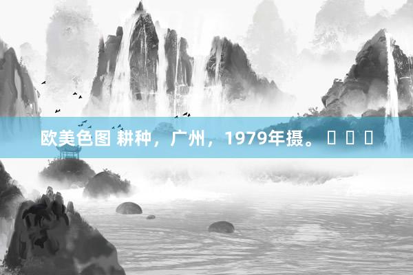 欧美色图 耕种，广州，1979年摄。 ​​​
