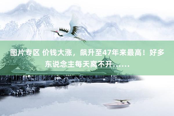 图片专区 价钱大涨，飙升至47年来最高！好多东说念主每天离不开……