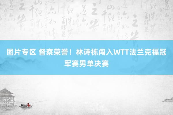 图片专区 督察荣誉！林诗栋闯入WTT法兰克福冠军赛男单决赛