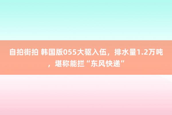 自拍街拍 韩国版055大驱入伍，排水量1.2万吨，堪称能拦“东风快递”