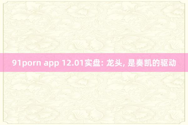 91porn app 12.01实盘: 龙头， 是奏凯的驱动