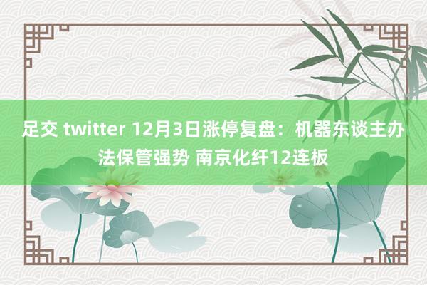 足交 twitter 12月3日涨停复盘：机器东谈主办法保管强势 南京化纤12连板