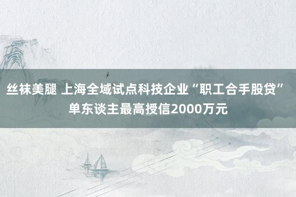 丝袜美腿 上海全域试点科技企业“职工合手股贷” 单东谈主最高授信2000万元