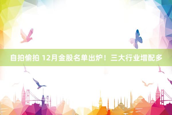 自拍偷拍 12月金股名单出炉！三大行业增配多