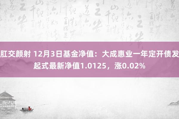 肛交颜射 12月3日基金净值：大成惠业一年定开债发起式最新净值1.0125，涨0.02%