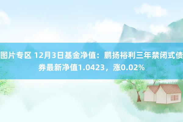 图片专区 12月3日基金净值：鹏扬裕利三年禁闭式债券最新净值1.0423，涨0.02%