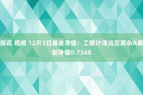 探花 视频 12月3日基金净值：工银计谋远见羼杂A最新净值0.7348