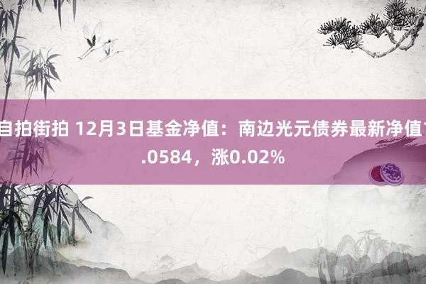 自拍街拍 12月3日基金净值：南边光元债券最新净值1.0584，涨0.02%