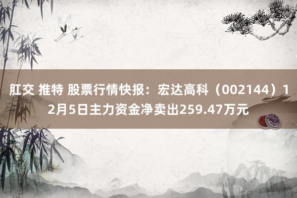 肛交 推特 股票行情快报：宏达高科（002144）12月5日主力资金净卖出259.47万元