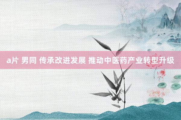 a片 男同 传承改进发展 推动中医药产业转型升级