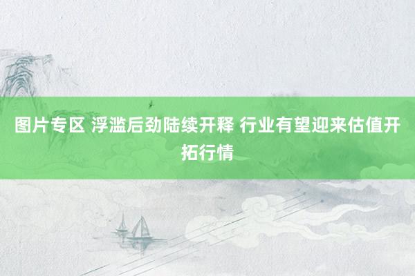 图片专区 浮滥后劲陆续开释 行业有望迎来估值开拓行情