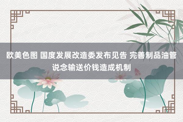 欧美色图 国度发展改造委发布见告 完善制品油管说念输送价钱造成机制
