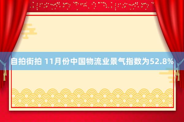 自拍街拍 11月份中国物流业景气指数为52.8%