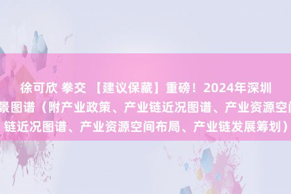 徐可欣 拳交 【建议保藏】重磅！2024年深圳市精密仪器建树产业链全景图谱（附产业政策、产业链近况图谱、产业资源空间布局、产业链发展筹划）