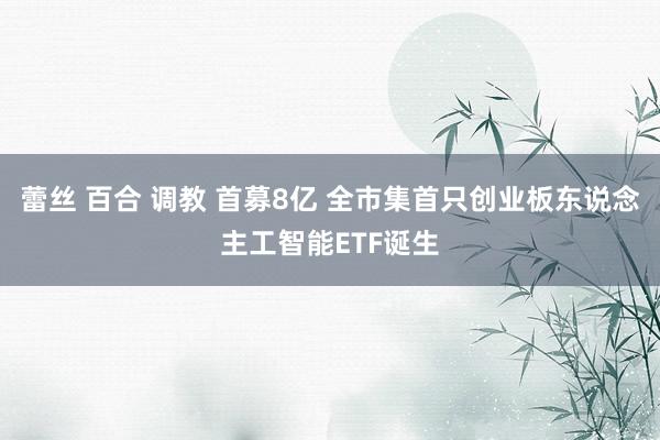 蕾丝 百合 调教 首募8亿 全市集首只创业板东说念主工智能ETF诞生