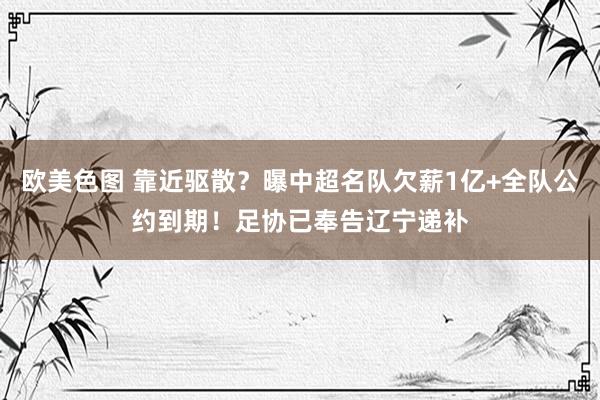 欧美色图 靠近驱散？曝中超名队欠薪1亿+全队公约到期！足协已奉告辽宁递补