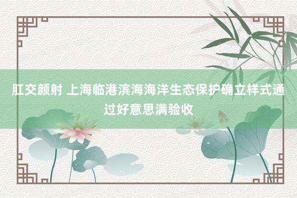 肛交颜射 上海临港滨海海洋生态保护确立样式通过好意思满验收
