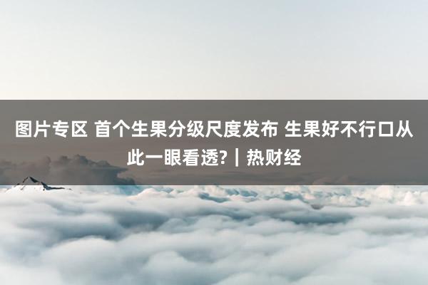 图片专区 首个生果分级尺度发布 生果好不行口从此一眼看透?｜热财经