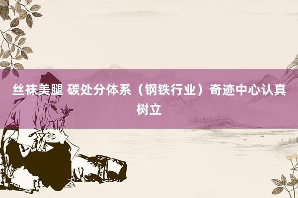 丝袜美腿 碳处分体系（钢铁行业）奇迹中心认真树立