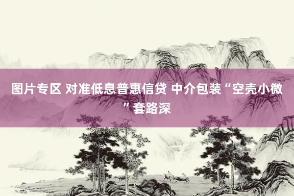 图片专区 对准低息普惠信贷 中介包装“空壳小微”套路深