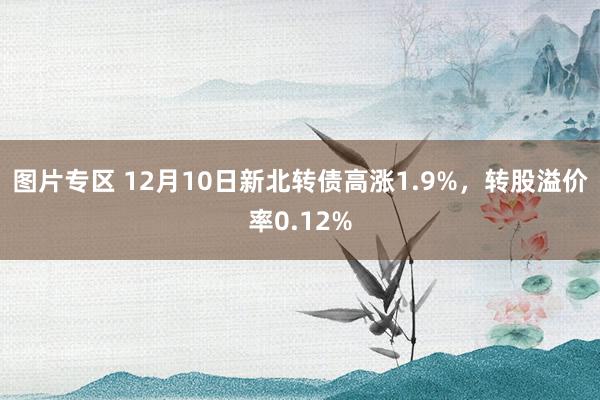 图片专区 12月10日新北转债高涨1.9%，转股溢价率0.12%