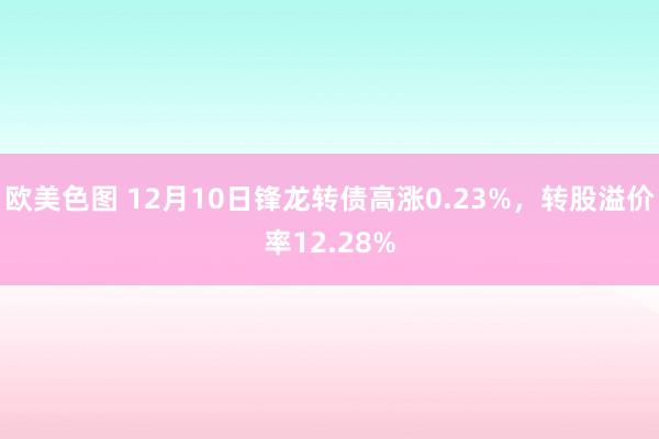 欧美色图 12月10日锋龙转债高涨0.23%，转股溢价率12.28%