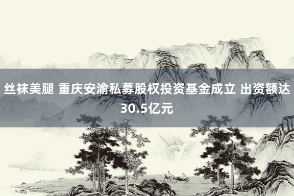 丝袜美腿 重庆安渝私募股权投资基金成立 出资额达30.5亿元