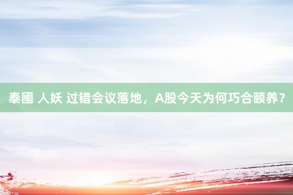 泰國 人妖 过错会议落地，A股今天为何巧合颐养？