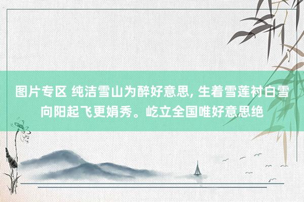 图片专区 纯洁雪山为醉好意思， 生着雪莲衬白雪向阳起飞更娟秀。屹立全国唯好意思绝