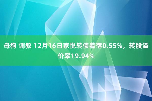 母狗 调教 12月16日家悦转债着落0.55%，转股溢价率19.94%
