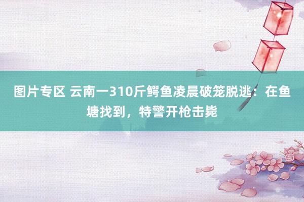 图片专区 云南一310斤鳄鱼凌晨破笼脱逃：在鱼塘找到，特警开枪击毙