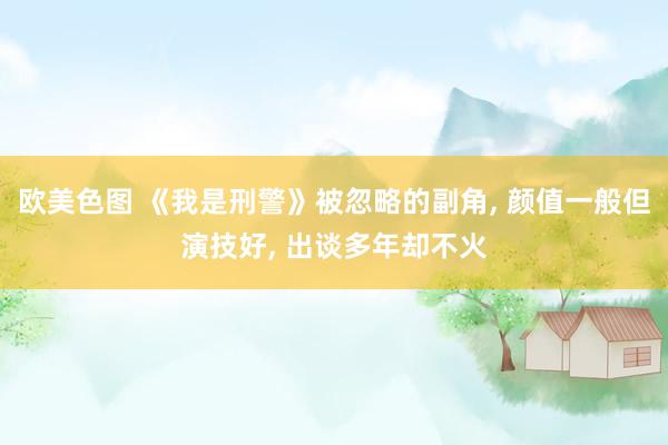 欧美色图 《我是刑警》被忽略的副角， 颜值一般但演技好， 出谈多年却不火