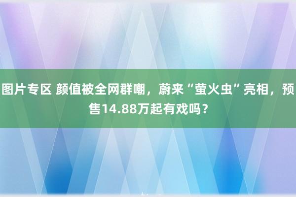 图片专区 颜值被全网群嘲，蔚来“萤火虫”亮相，预售14.88万起有戏吗？