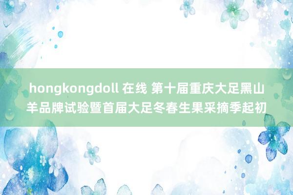 hongkongdoll 在线 第十届重庆大足黑山羊品牌试验暨首届大足冬春生果采摘季起初