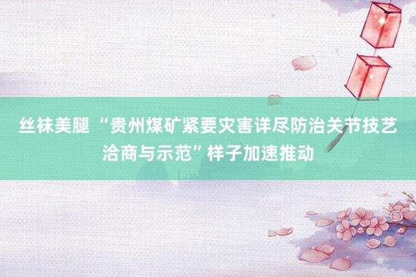丝袜美腿 “贵州煤矿紧要灾害详尽防治关节技艺洽商与示范”样子加速推动