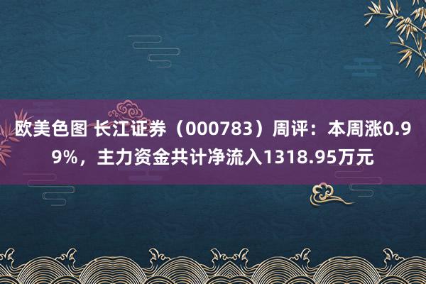欧美色图 长江证券（000783）周评：本周涨0.99%，主力资金共计净流入1318.95万元