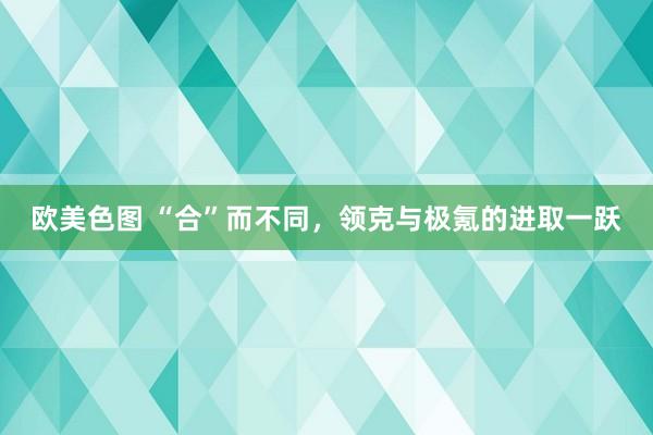 欧美色图 “合”而不同，领克与极氪的进取一跃