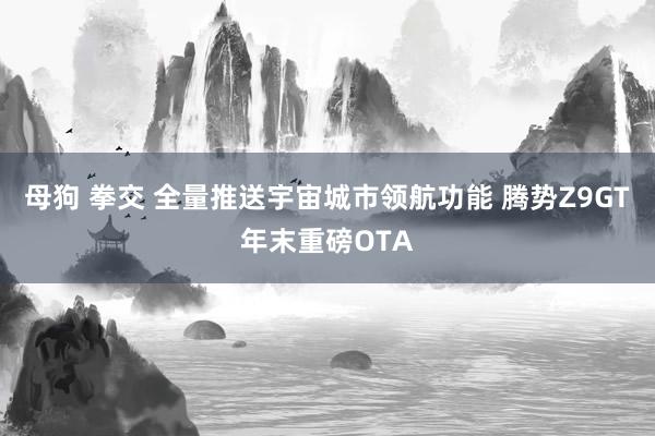 母狗 拳交 全量推送宇宙城市领航功能 腾势Z9GT年末重磅OTA