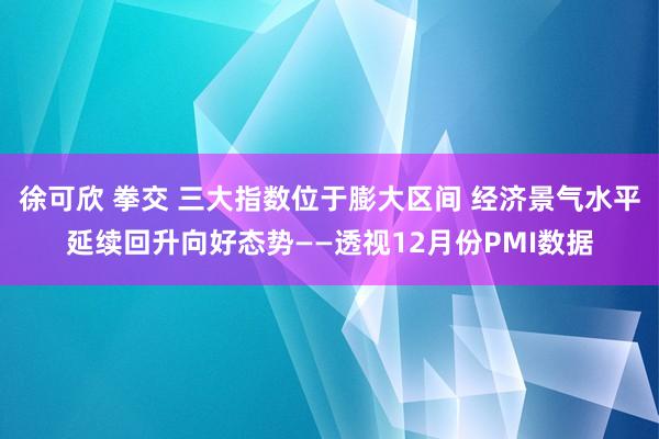 徐可欣 拳交 三大指数位于膨大区间 经济景气水平延续回升向好态势——透视12月份PMI数据