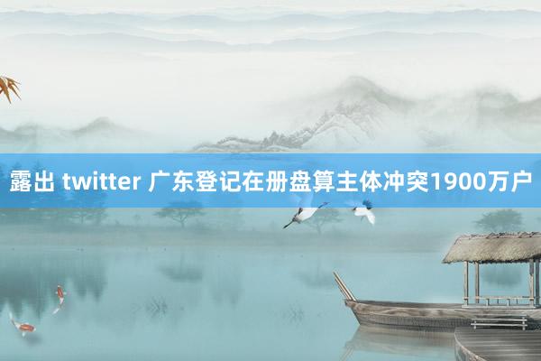 露出 twitter 广东登记在册盘算主体冲突1900万户