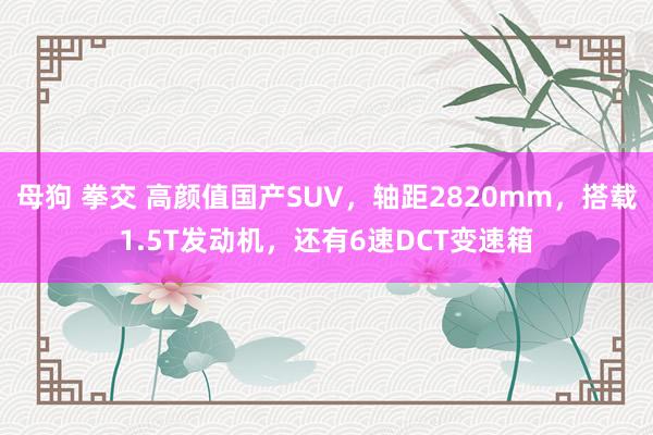 母狗 拳交 高颜值国产SUV，轴距2820mm，搭载1.5T发动机，还有6速DCT变速箱