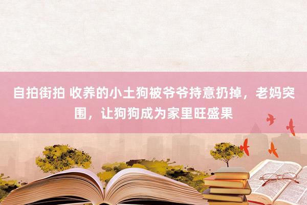 自拍街拍 收养的小土狗被爷爷持意扔掉，老妈突围，让狗狗成为家里旺盛果