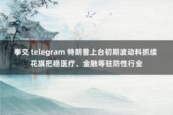 拳交 telegram 特朗普上台初期波动料抓续 花旗把稳医疗、金融等驻防性行业