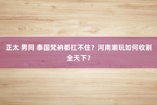 正太 男同 泰国梵衲都扛不住？河南潮玩如何收割全天下？